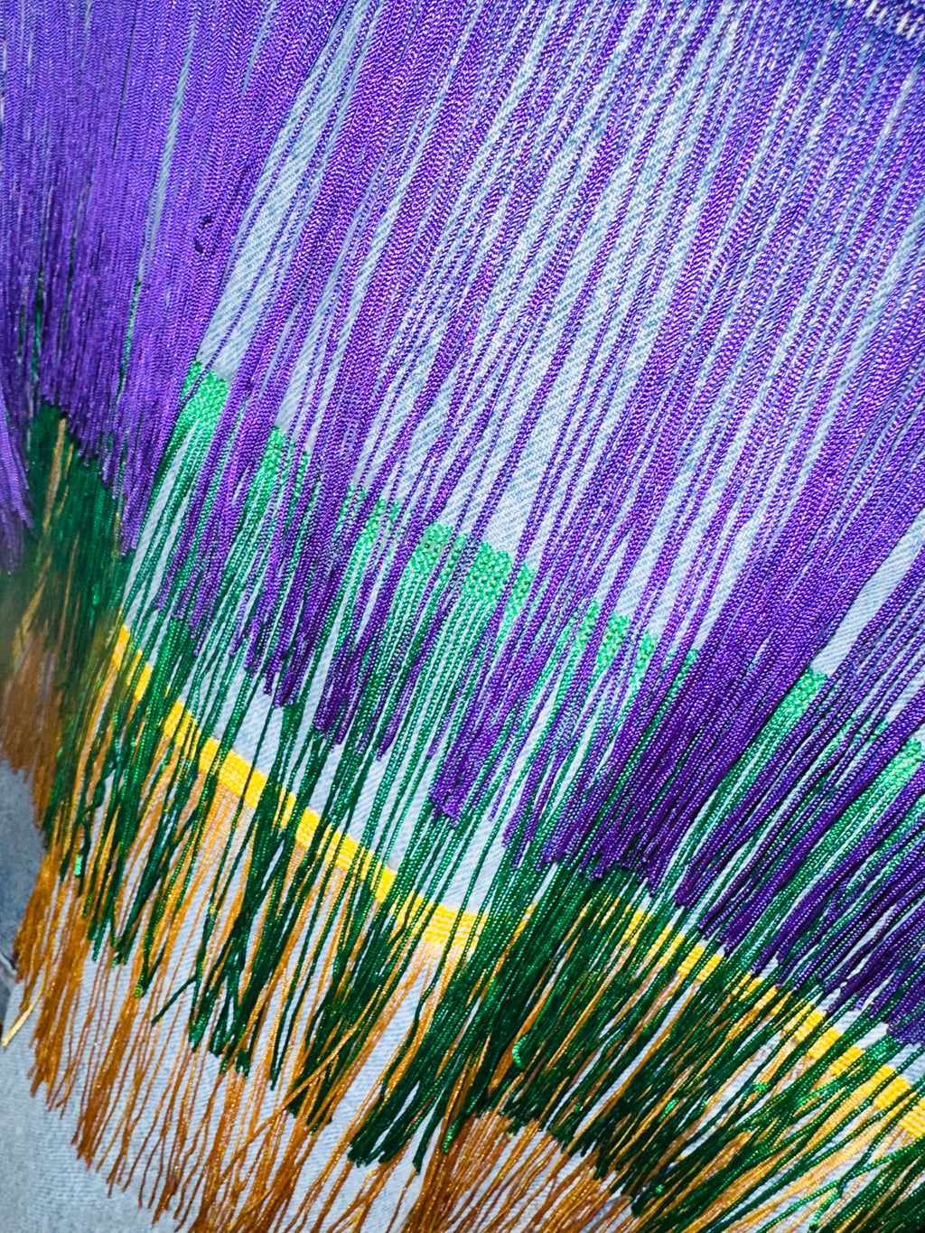 Mardi Gras Denim & Fringe Jacket