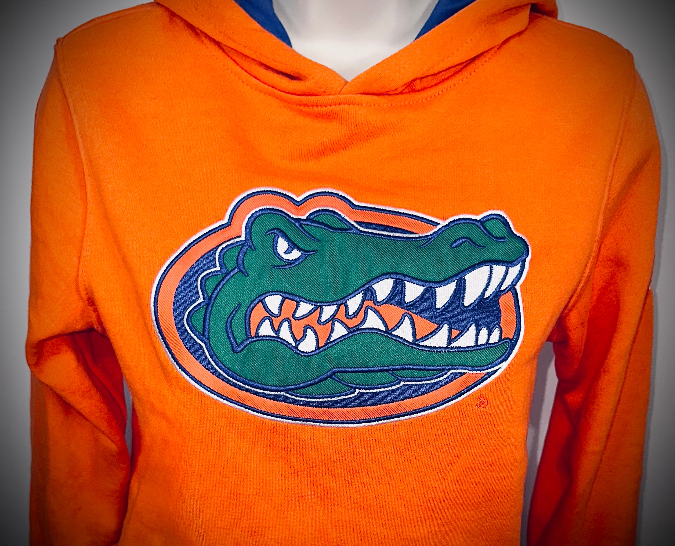 Florida Gators Youth Hoodie