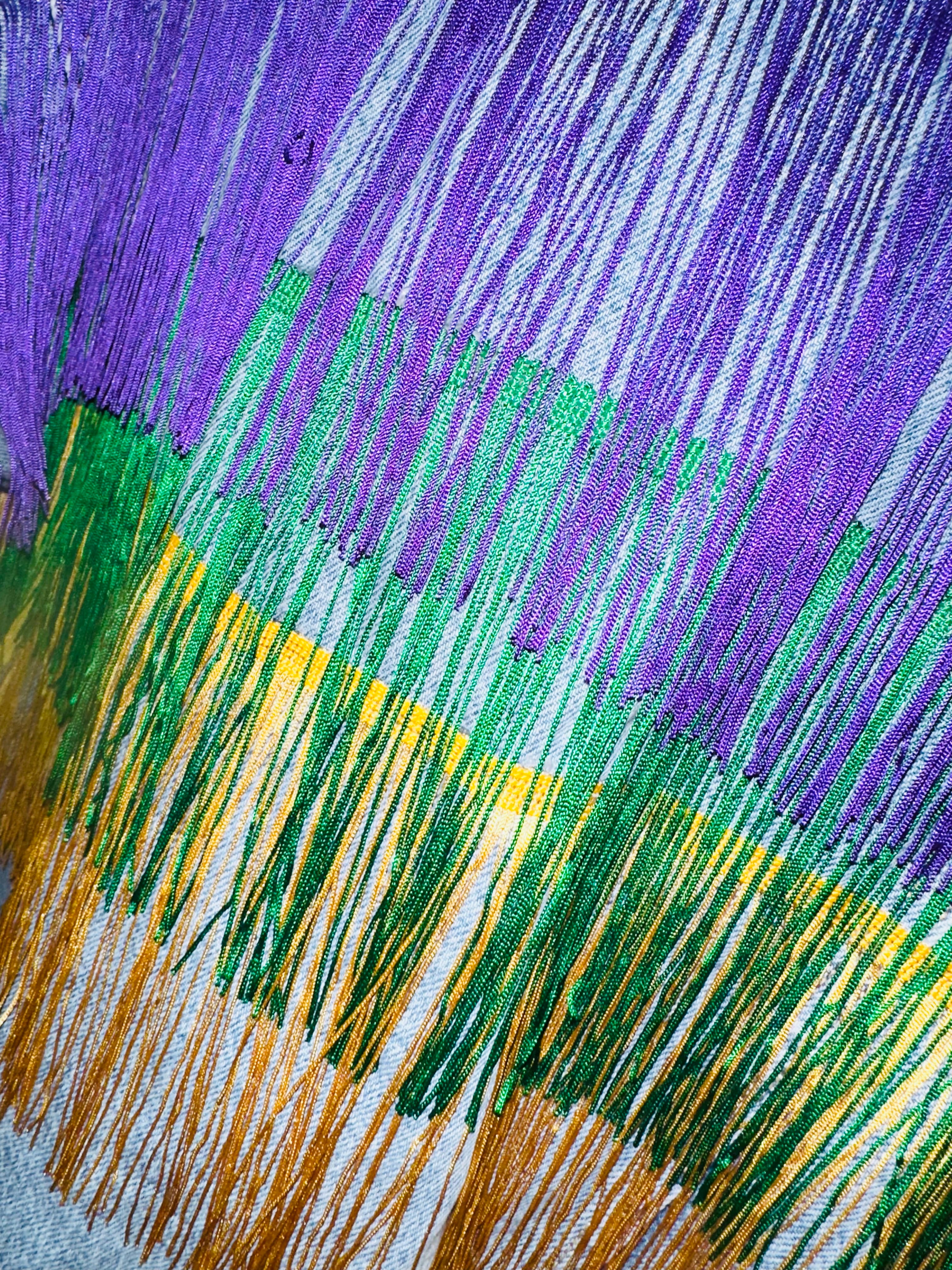Mardi Gras Denim & Fringe Jacket