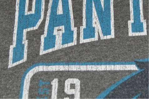 North Carolina Panthers 3/4-length Tee