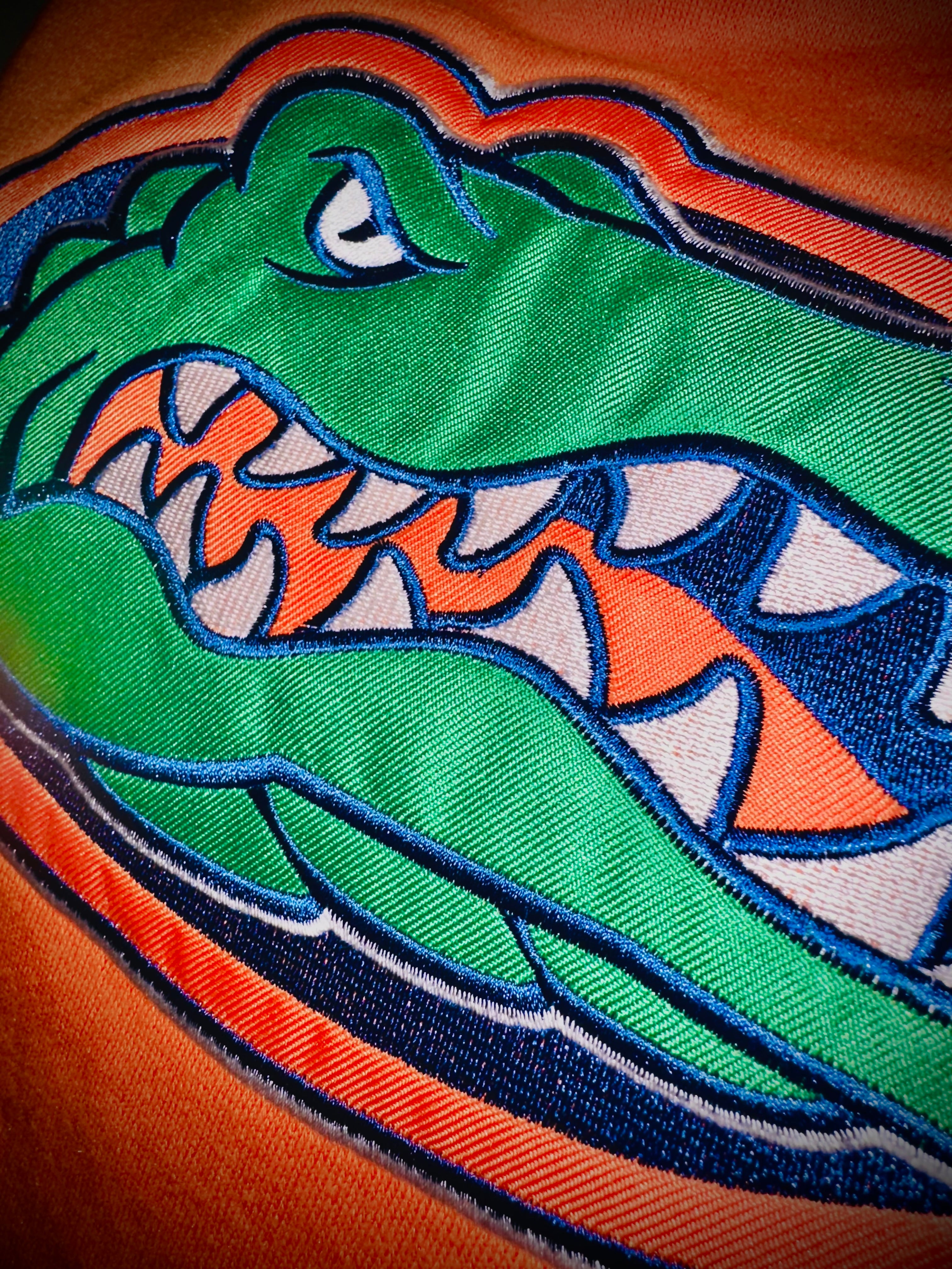 Florida Gators Youth Hoodie