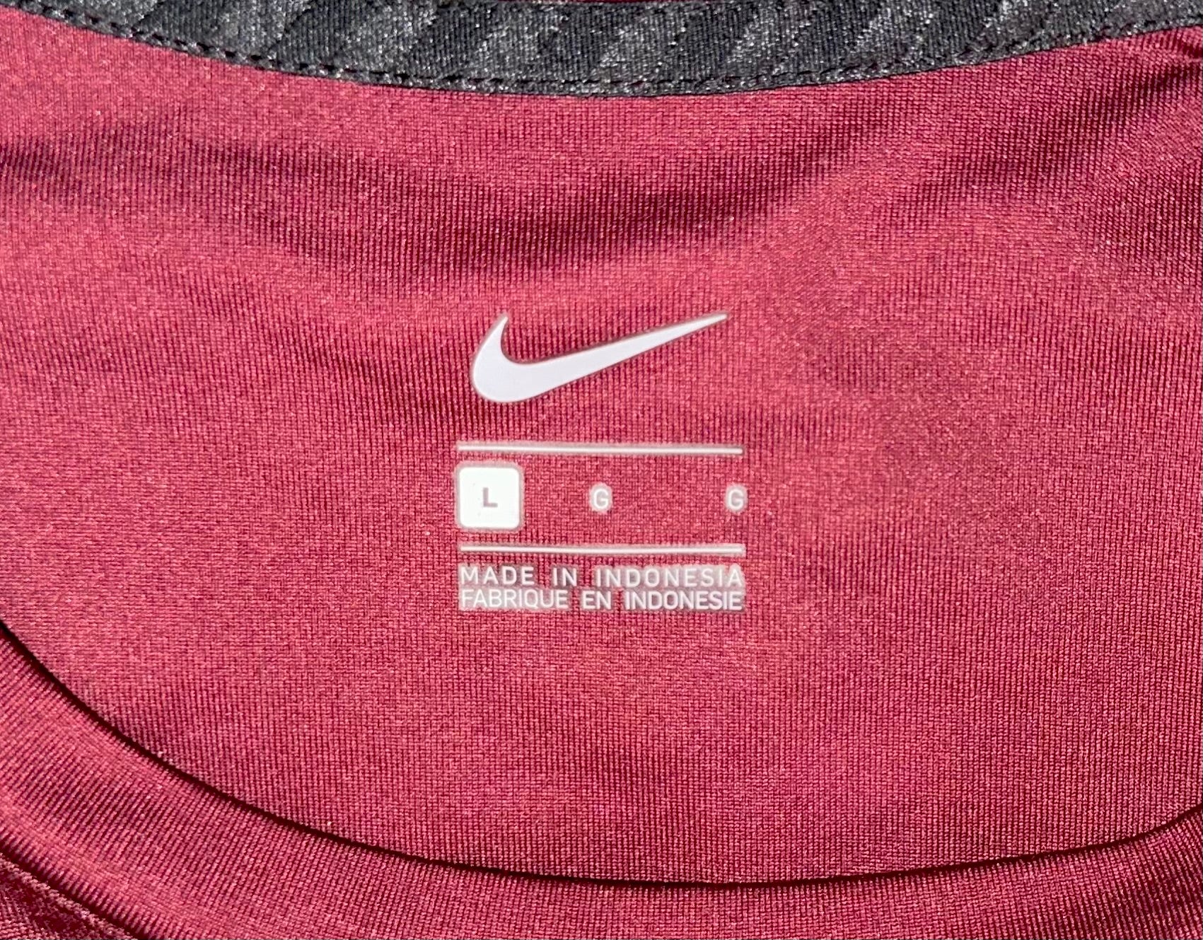 Minnesota Golden Gophers Nike Pullover