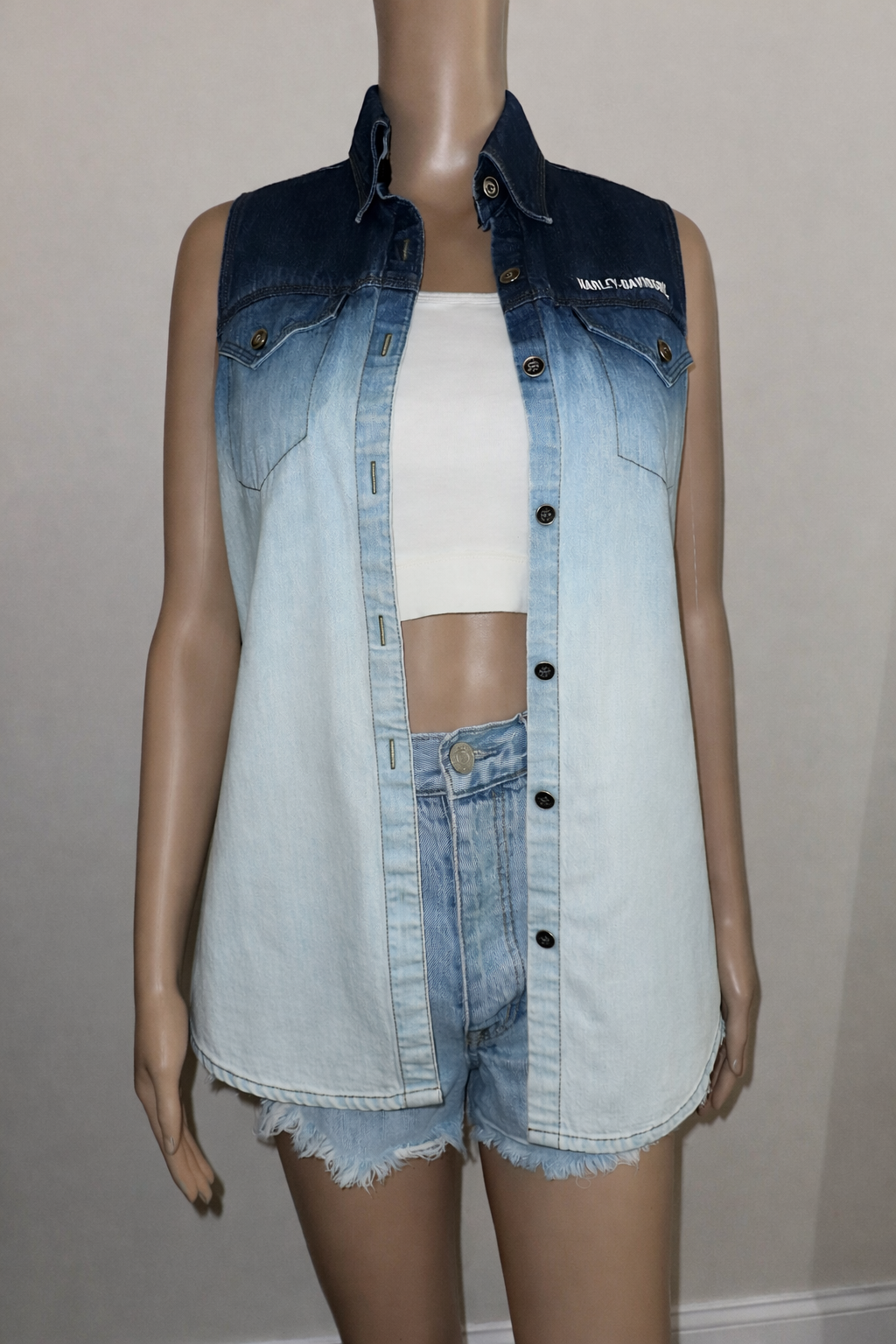 Harley Davidson Ombre Sleeveless Denim Button Up Shirt, Sz Small