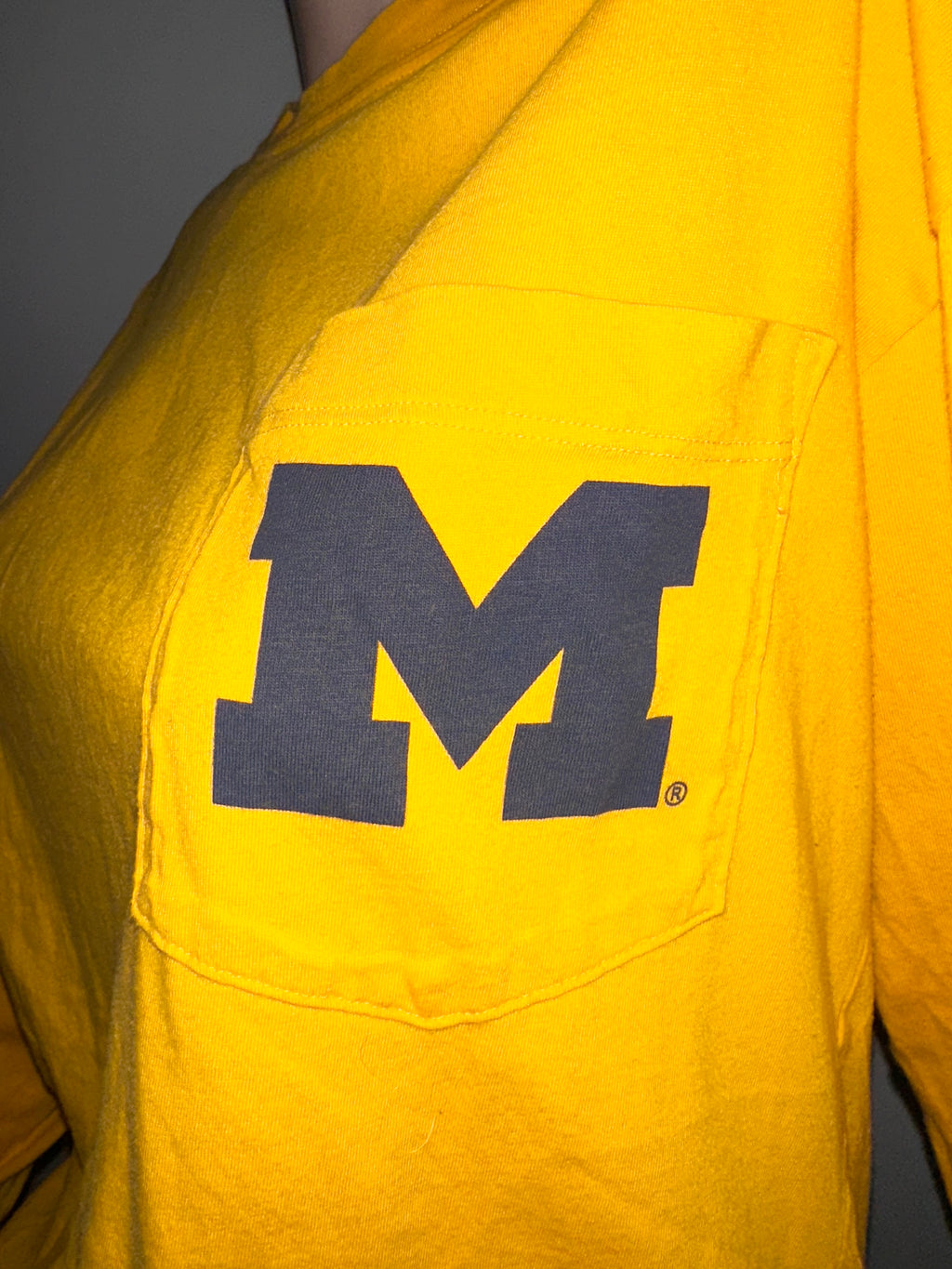 Michigan Wolverines Victoria’s Secret PINK Sequin Shirt, Sz Medium